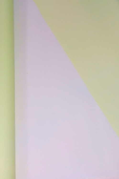 Пленка матовая двусторонняя однотонная салатовый